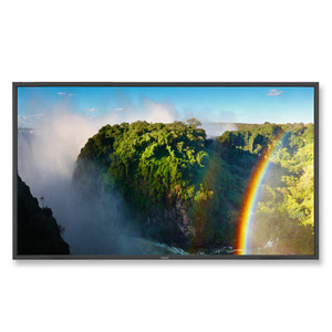 Изображения NEC P551