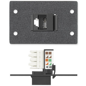 Изображения RJ-45 (F) - монтажный блок, RAL9010, IN9359D, 70-314-55