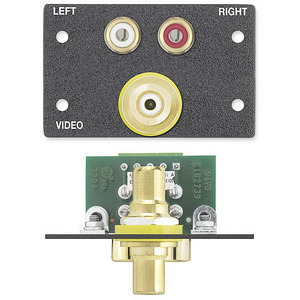Изображения 2RCA (F)/винт, белый с надписью, EXTRON, IN9462D, 70-300-24