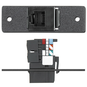 Изображения RJ-11 (F) - монтажный блок, черный, IN9358, 70-313-11