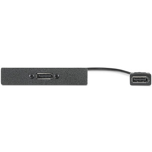 Интерфейс EXTRON AAP. Адаптер 1-местный DisplayPort (F) - 10"кабель - DisplayPort (F), белый, 70-677-13