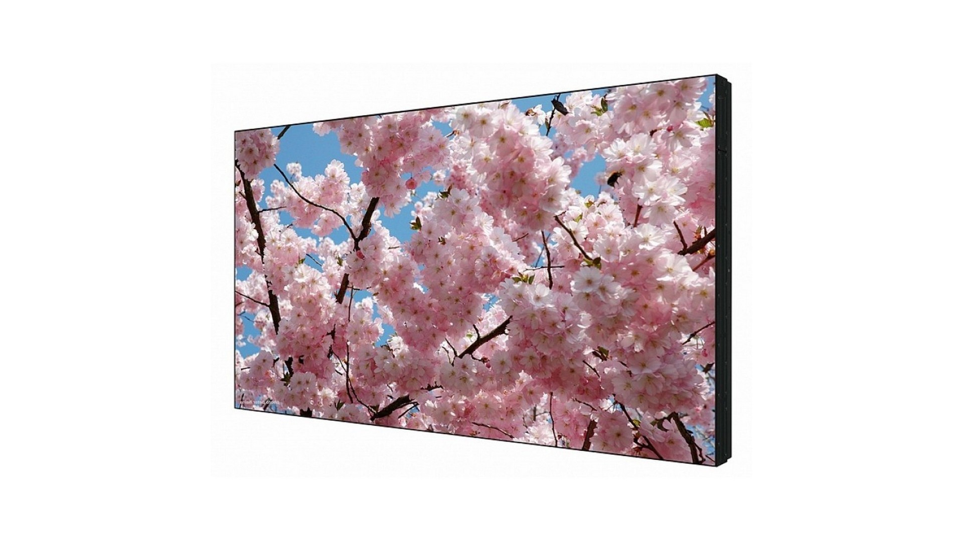 Изображения SHARP PN-V601