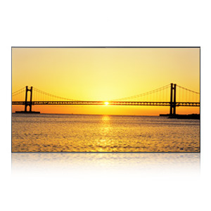 Изображения SAMSUNG UD55A