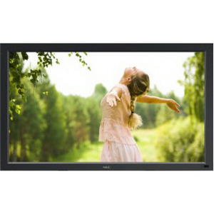 Изображения NEC V422