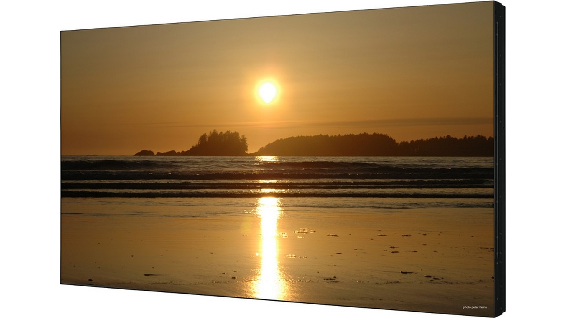 Изображения SHARP PN-V602