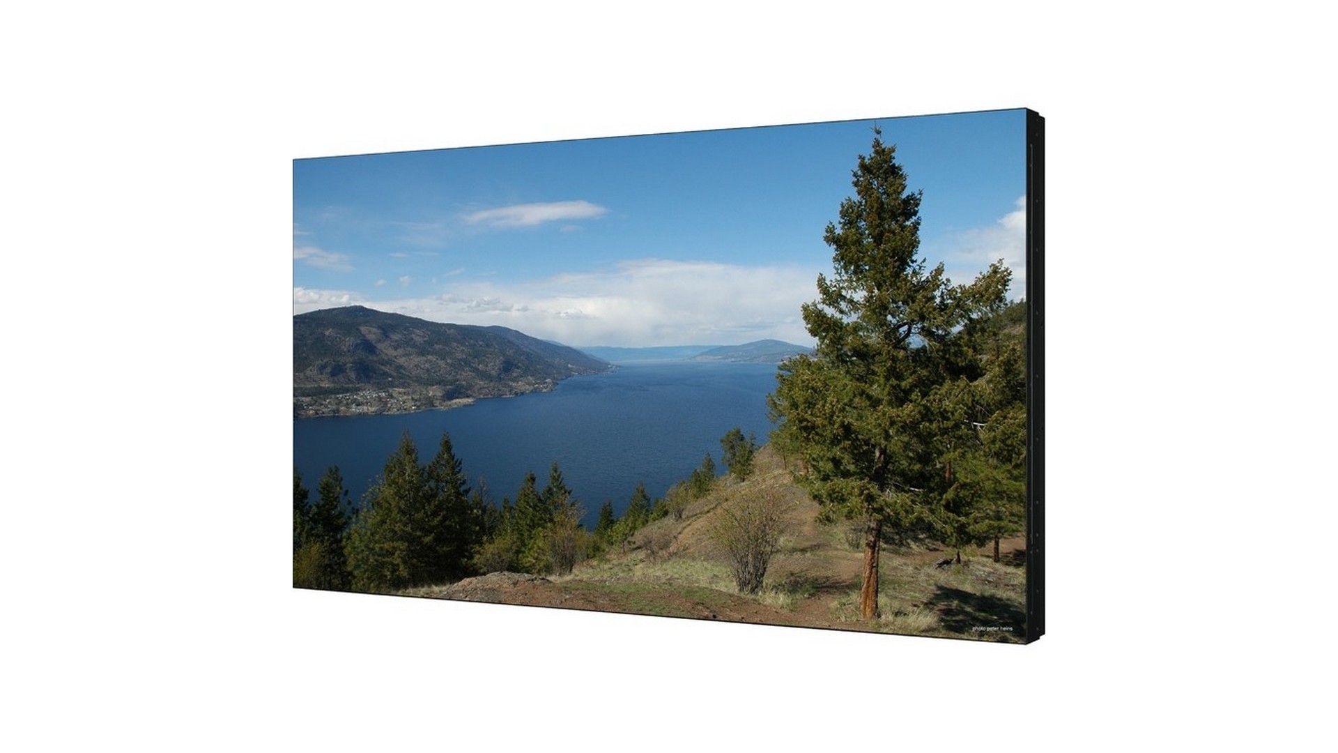 Изображения SHARP PN-V600