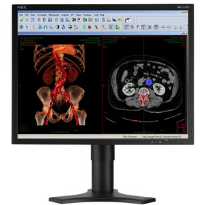 Изображения NEC MDview 213