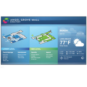 Изображения SAMSUNG UD55C