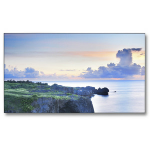 Изображения NEC X464UN