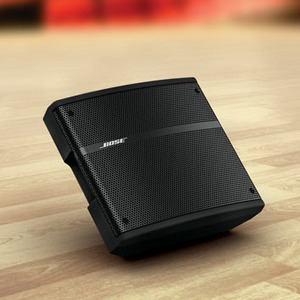 Изображения BOSE Panaray 310 М черный, 039919