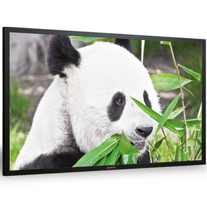 Изображения EYEVIS EYE-LCD-5800-QHD