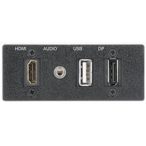 Интерфейс EXTRON AAP. Адаптер 2-местный HDMI, DisplayPort, аудио, USB, белый, 70-1076-13