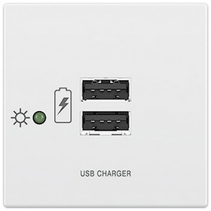 Две розетки USB EXTRON Flex55 USB PowerPlate 102 белый, 60-1693-03