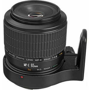 Изображения CANON 2540A002 - Объектив Canon MP-E 65mm f/2.8 1-5x Macro Photo Lens