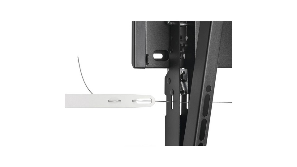 Изображения VOGELS PFW 4610