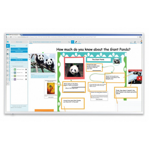 Изображения SMART Board SBD-2075