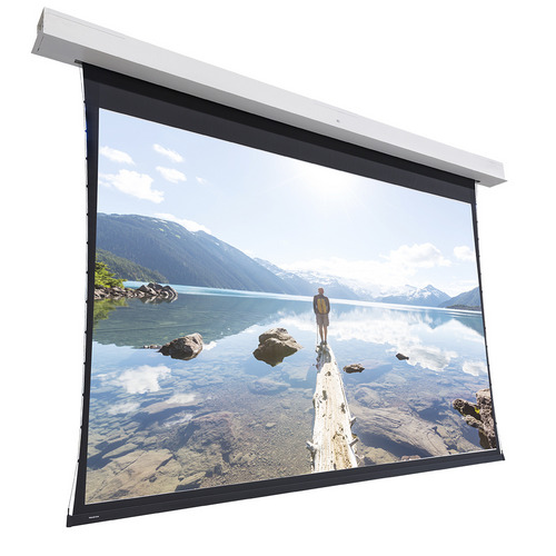 Изображения PROJECTA Tensioned Descender Large Electrol Matte White, 10101446