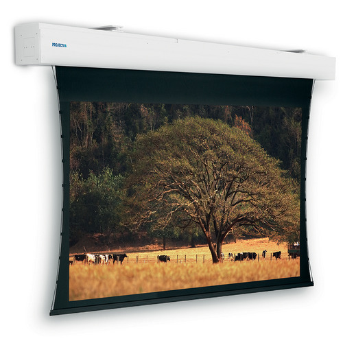 Изображения PROJECTA Tensioned Elpro Large Electrol HD Progressive 1.1, 10103976