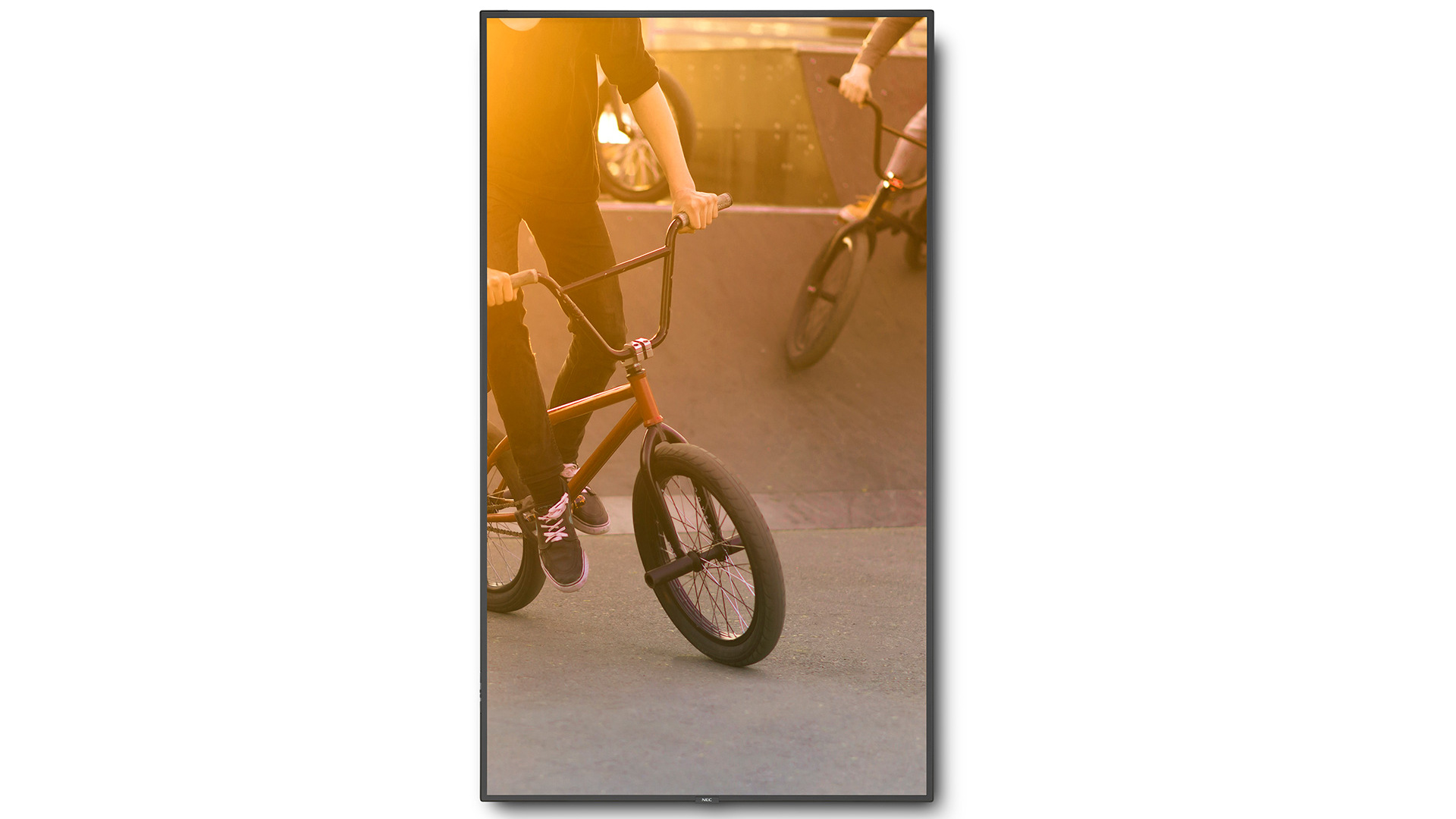 Изображения NEC P654Q PG