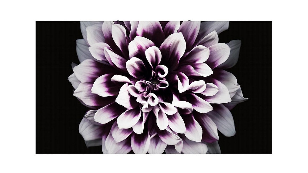 Изображения SAMSUNG IW012J