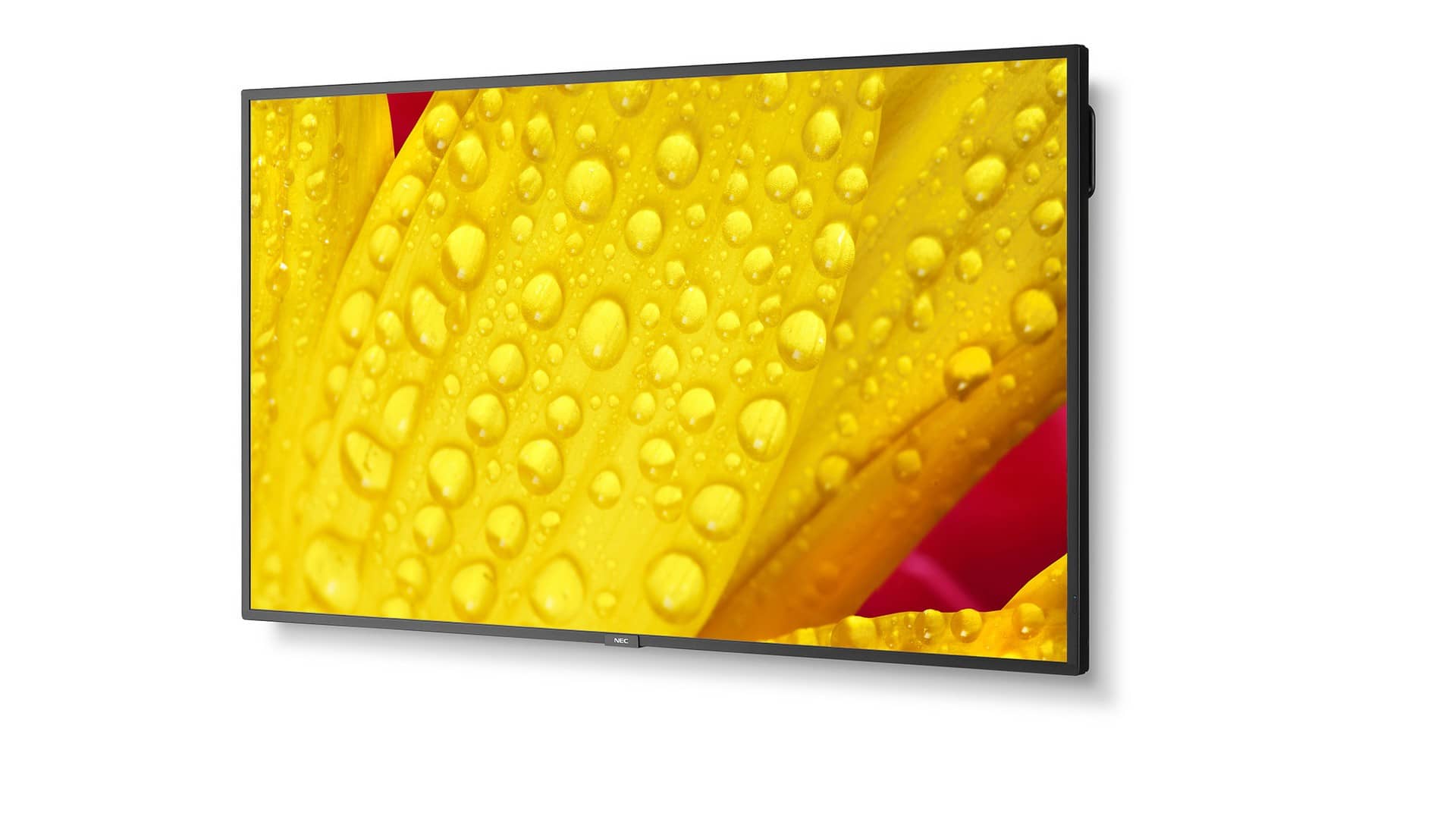 Изображения NEC ME551, 60005057