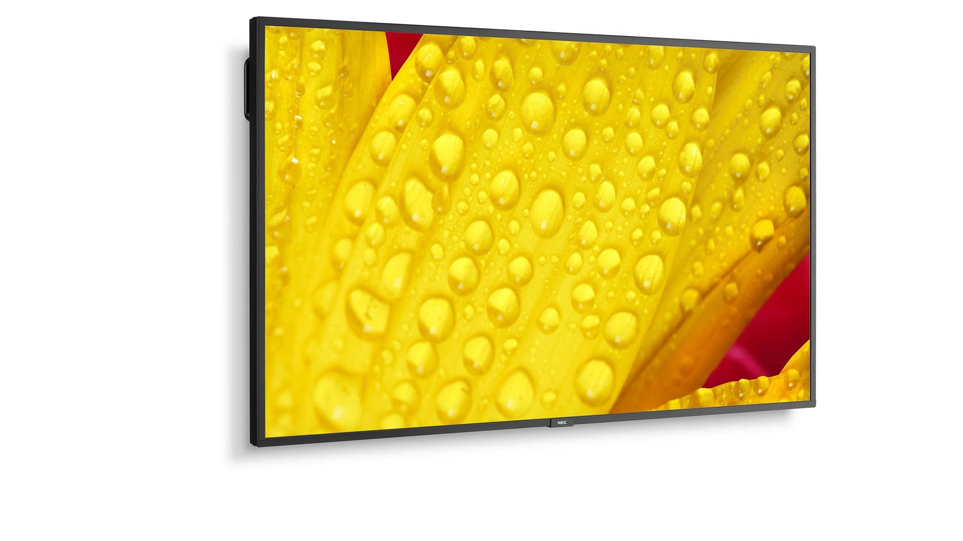 Изображения NEC ME551, 60005057