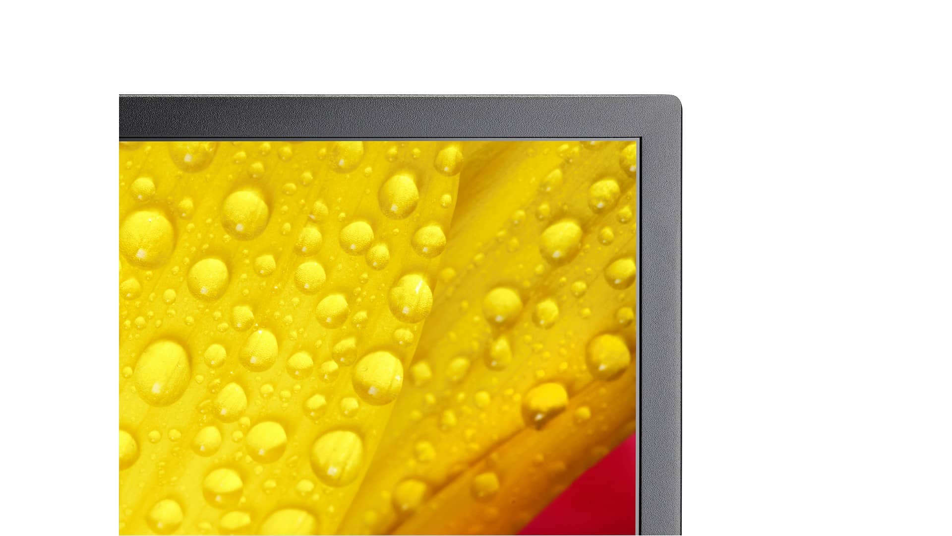 Изображения NEC ME551, 60005057