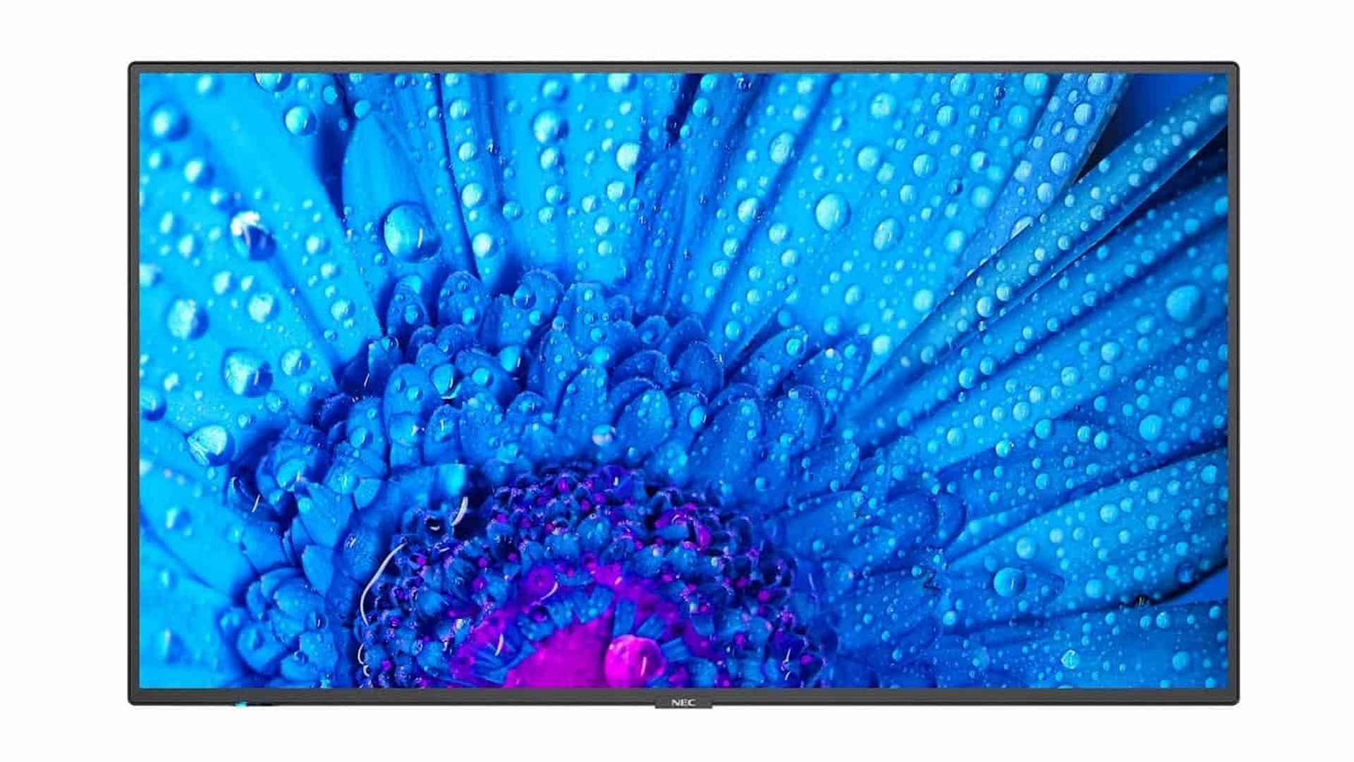 Изображения NEC M551, 60005055