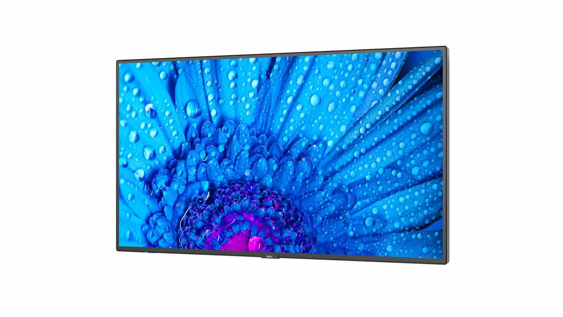 Изображения NEC M551, 60005055