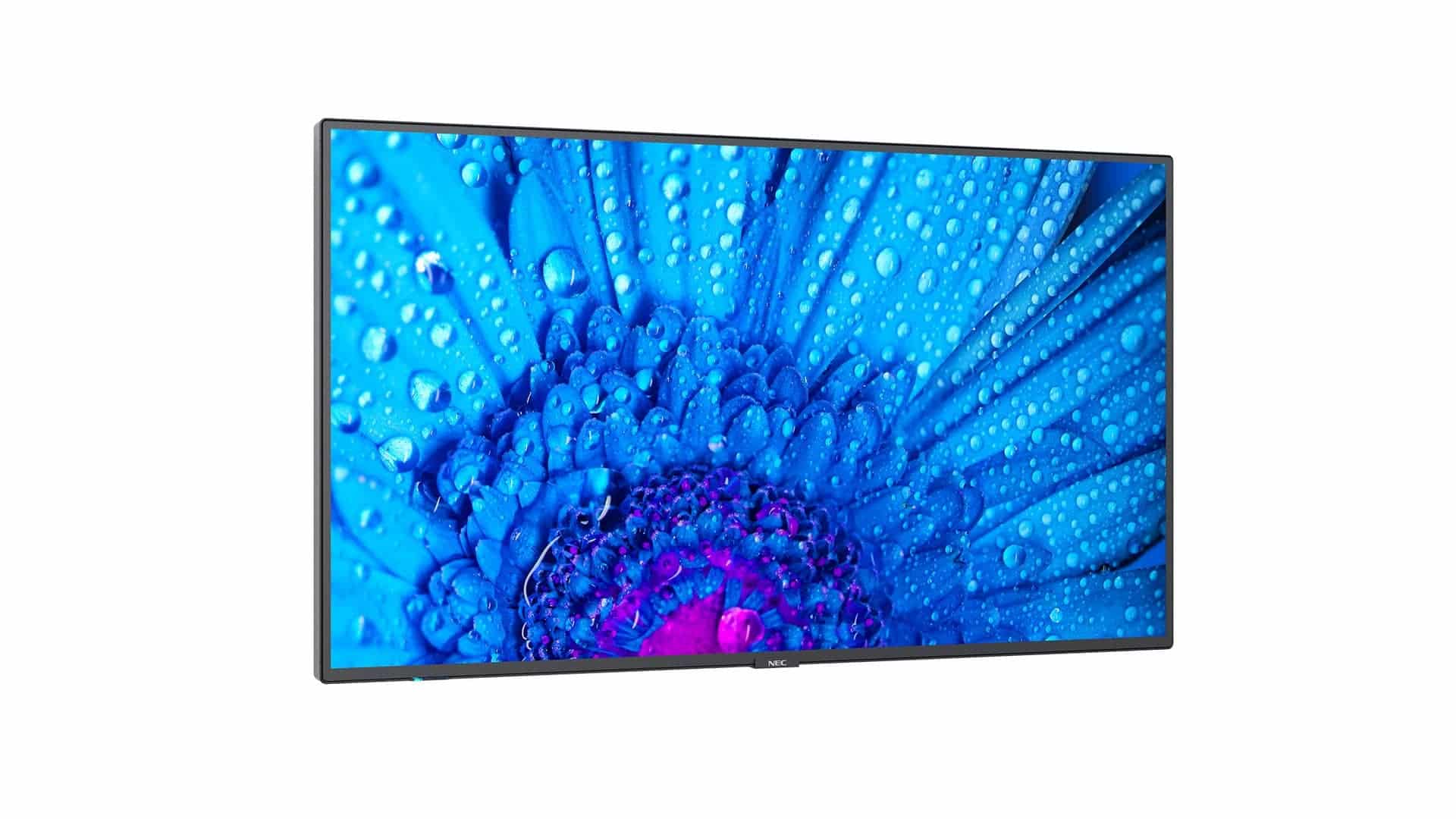 Изображения NEC M551, 60005055