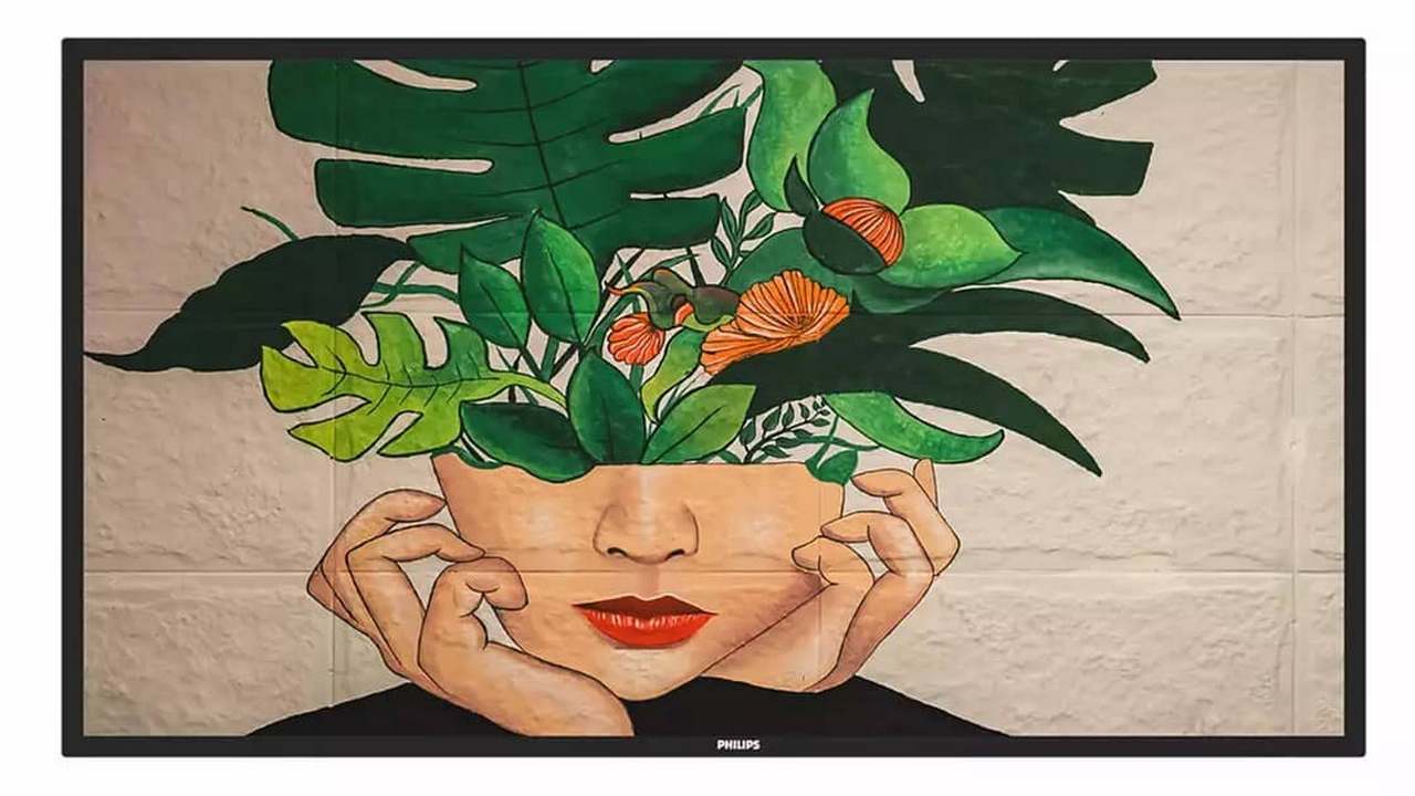 Изображения PHILIPS 55BDL4510D/00