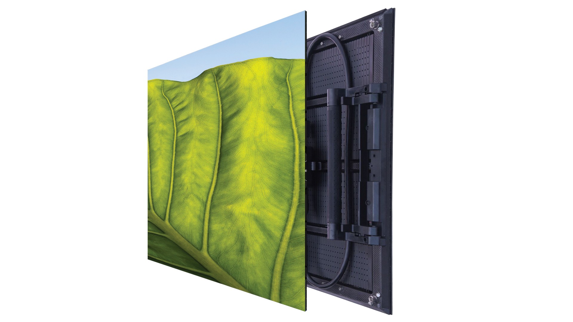 Изображения LEYARD CLI3.9-M2 CLT-i9