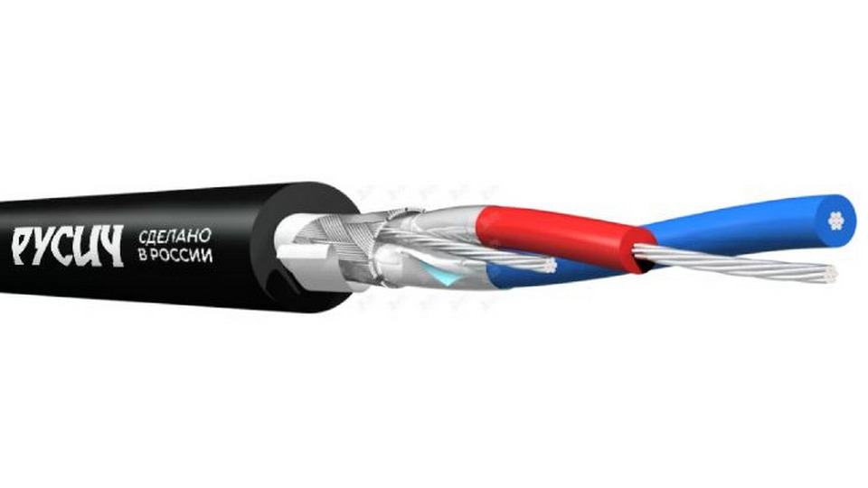 Изображения РУСИЧ КЦЭ-2022 100м